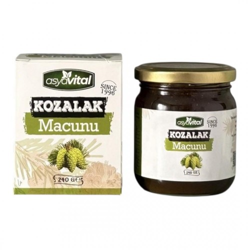 ASYA VİTAL 240 GR ÇAM KOZALAĞI MACUN*24