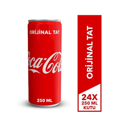 COCA COLA KUTU 250 ML *24