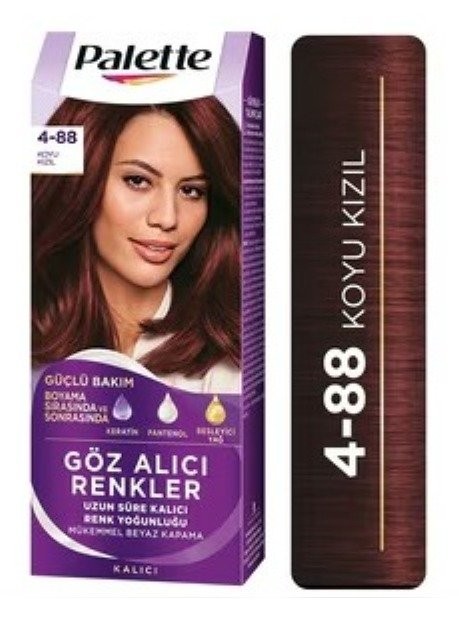 PALETTE ICC (4-88) KOYU KIZIL*10