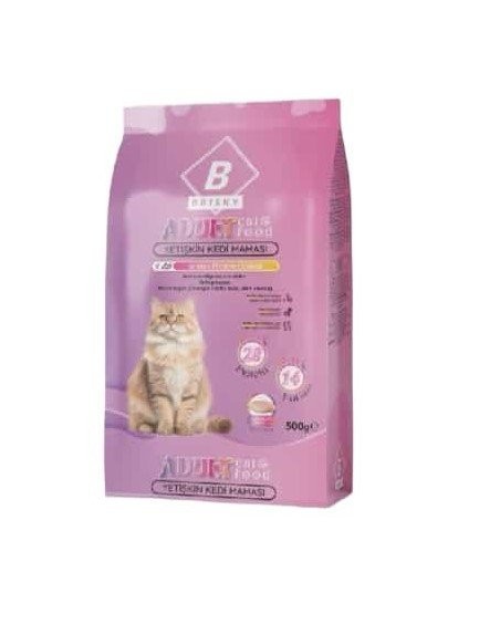 BRISKY 500 GR DRY FOOD CAT ADULT WITH CHICKEN MEAT*24