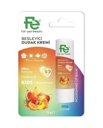 FE (FEBT014) BESLEYİCİ DUDAK KREMİ MEYVELİ*24