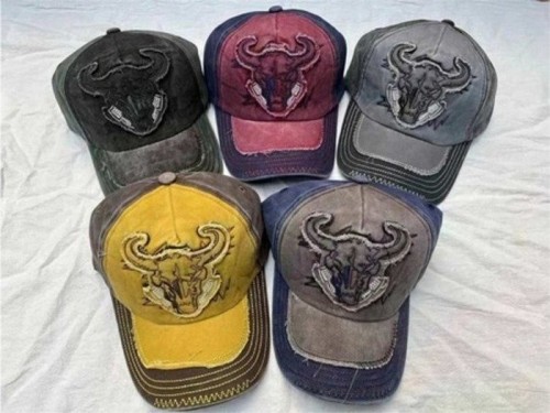 MEN'S HAT WITH HORN PATTERN 1 PCS