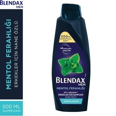 BLENDAX 500 ML ŞAMP.MENTOL FERAHLIĞI ERKEK*6