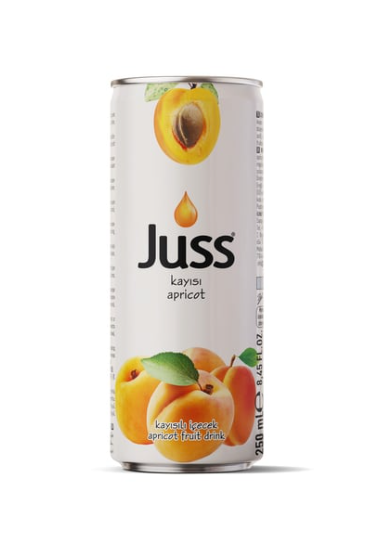 JUSS 250 ML APRICOT*24