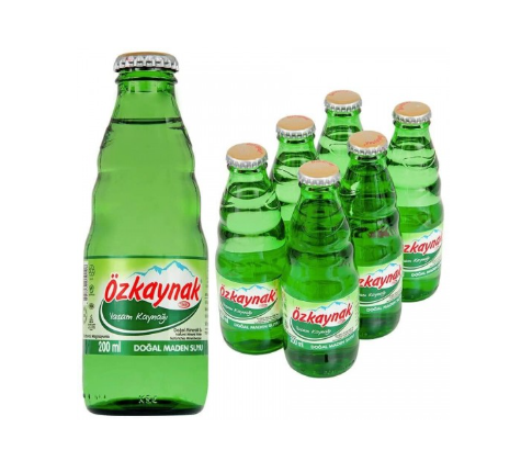 ÖZKAYNAK 200 ML SODA*24