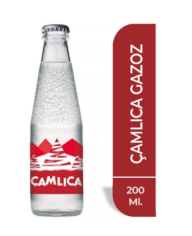 ÇAMLICA FUJİ 200 ML *24