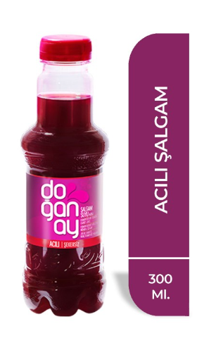 DOĞANAY ŞALGAM 300 ML ACILI *24