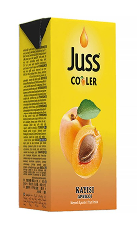 JUSS COOLER 200ML KAYISI*27