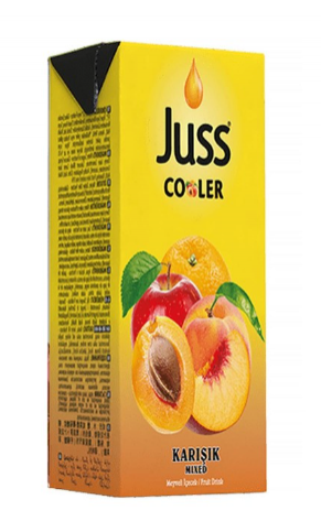 JUSS COOLER 200ML KARIŞIK*27