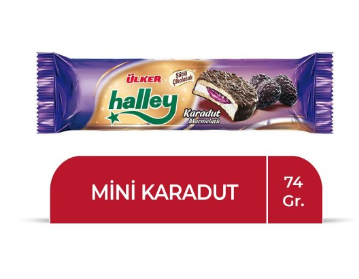 ÜLKER HALLEY MİNİ KARADUTLU 74 GR*24