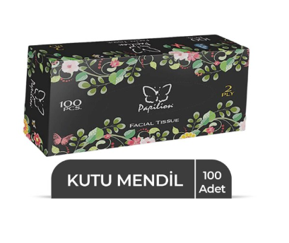 PAPILLON BOX WIPES 100 PCS * 24