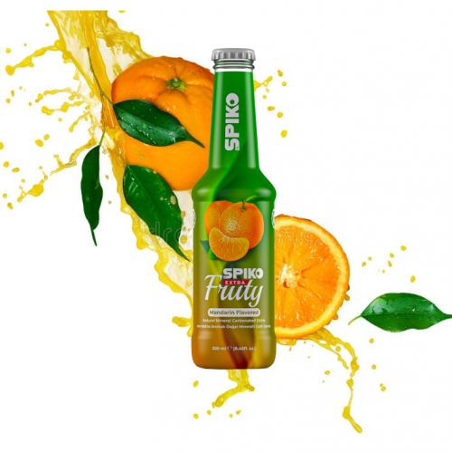 SPİKO FRUIT TANGERINES 250ML*24