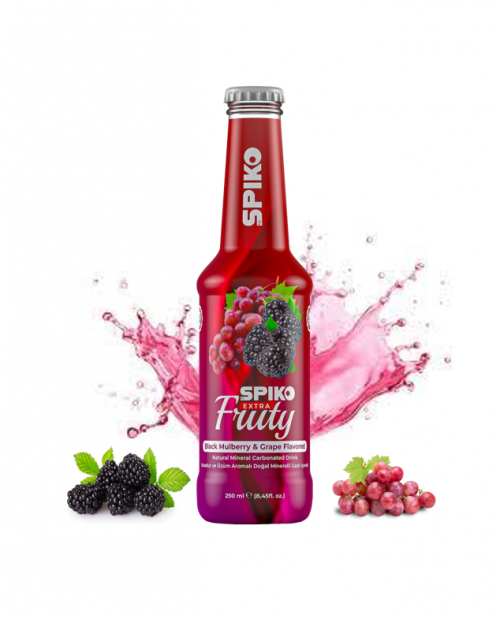 SPIKO FRUITÉ MÛRIER NOIR-RAISIN 250ML*24