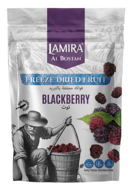 LAMİRA 20 GR KURUTULMUŞ BÖĞÜRTLEN*12
