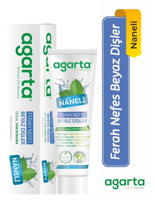 AGARTA 100 ML NATURAL MINT TOOTHPASTE*12