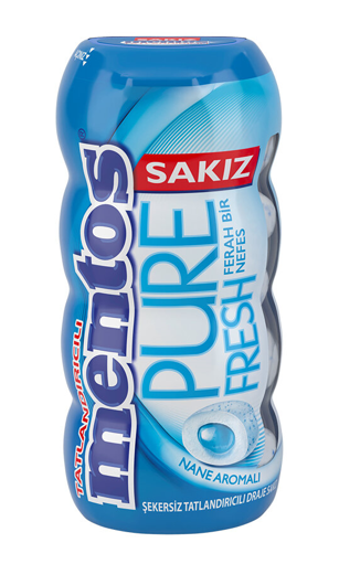 MENTOS 30 GR PURE FRESH NANE ŞİŞE*12