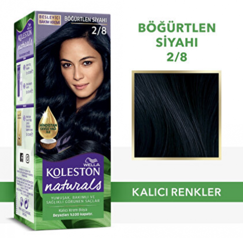KOLESTON NATURALS 2/8 BÖĞÜRTLEN SİYAHI*3