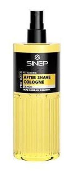 SINEP (19061) 400 ML TRAŞ SONRASI KOLONYA LİMON*24