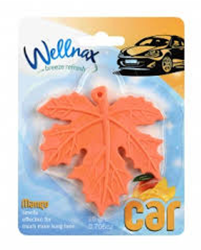 WELLNAX LEAF AUTO FRESH.TROPICAL 20 GR * 24