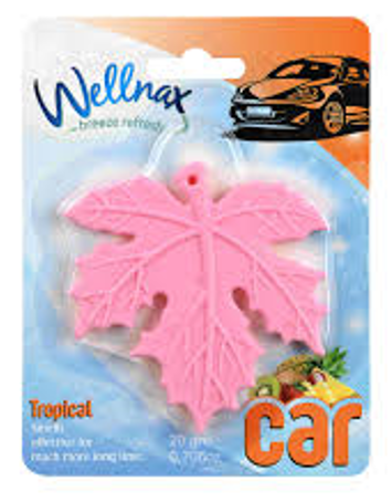 WELLNAX LEAF AUTO FRESH.MANGO 20 GR * 24