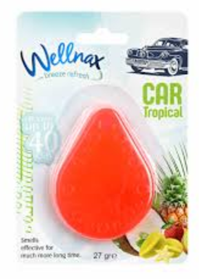 WELLNAX DAMLA OTO FERH.TROPICAL 27 GR*24