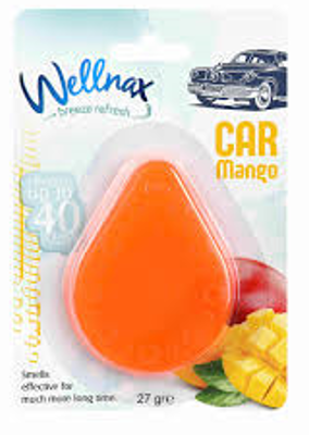 WELLNAX DAMLA AUTO FRESH.MANGO 27 GR * 24