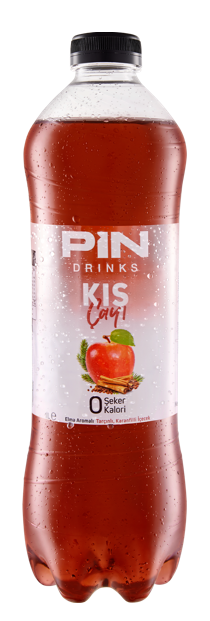PIN DRINKS 1 LT THÉ D'HIVER*6