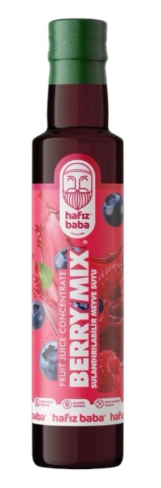HAFIZBABA 250 ML BERRY MİX*12