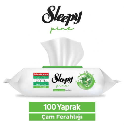 SLEEPY 100 PCS SURFACE TOWEL PINE FRESHNESS *12