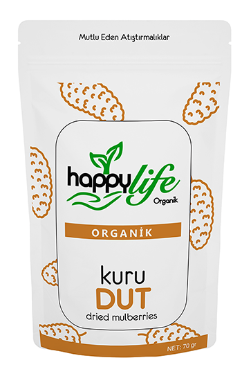 H.LIFE 70 GR ORGANIC DRIED MULBERRIES*12