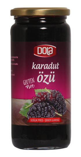 DOLA 640 г, безглютеновый экстракт ежевики*12