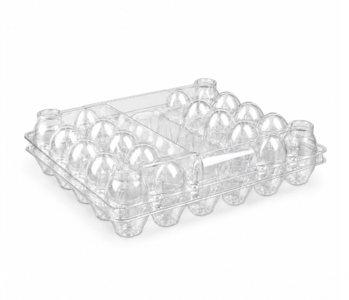 EGG TRAY/BASE (L-730) BODY+LID 30 PIECES*100
