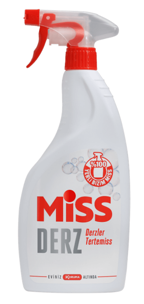 MİSS Grout Cleaner 750 ml Spray (Pack of 12)