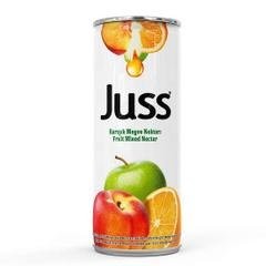 JUSS 250 ML MIXED*24