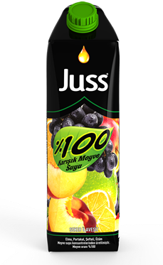 JUSS 1 LT %100 KARIŞIK*12