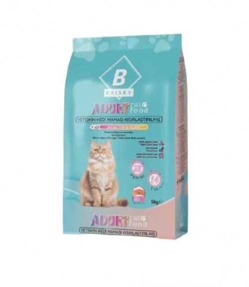 BRISKY 1 KG DRY FOOD CAT ADULT WITH SALMON*12