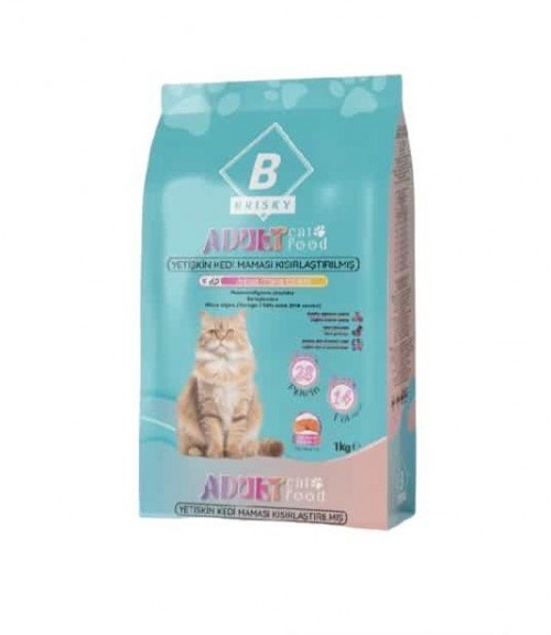 BRISKY 1 KG KURU MAMA KEDİ YETİŞKİN KIS.SOMONLU*12