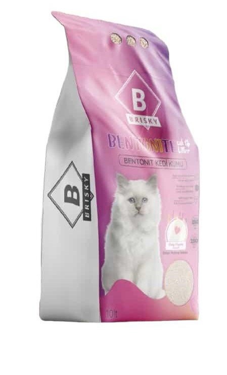 BRISKY CAT LITTLE 10 LT POWDERED*1