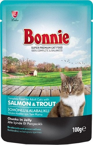BONNIE ADULT CAT WITH SALMON 85GR*22