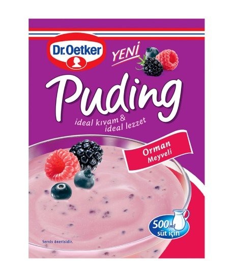 DR.OETKER PUDİNG ORMAN MEYVELİ 81 GR*24