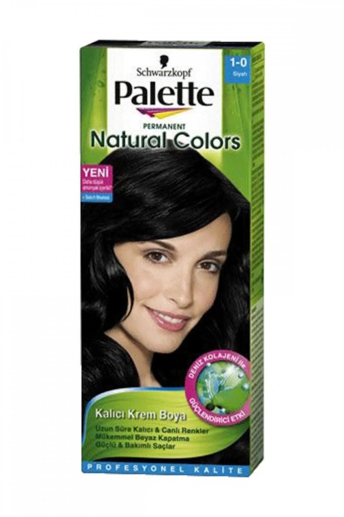 PALETTE PNC 1-0 BLACK*10