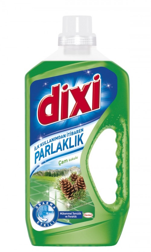 DİXİ NETTOYANT DES SURFACES PIN 900 GR * 15