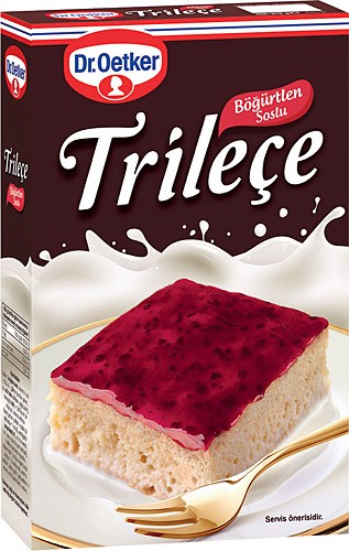 DR.OETKER TRILEÇE BLACKBERRY SAUCE 315GR*8