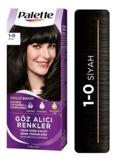 PALETTE ICC (1-0) SİYAH *10