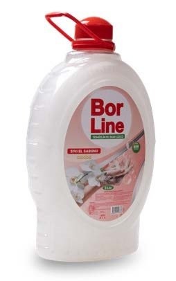 BORLINE LIQUID HAND SOAP ORCHID 3 LT*6