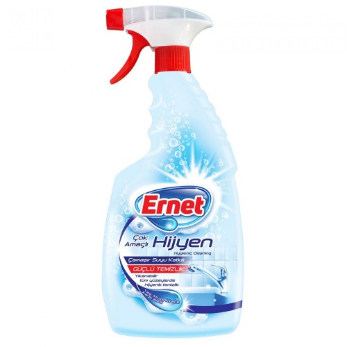 ERNET ÇOK AMAÇLI HİJYEN 750 ML*6