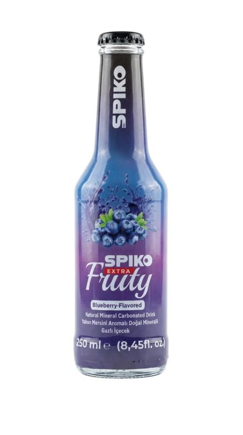 SPIKO FRUITY 250 ML BLUEBERRIES*24