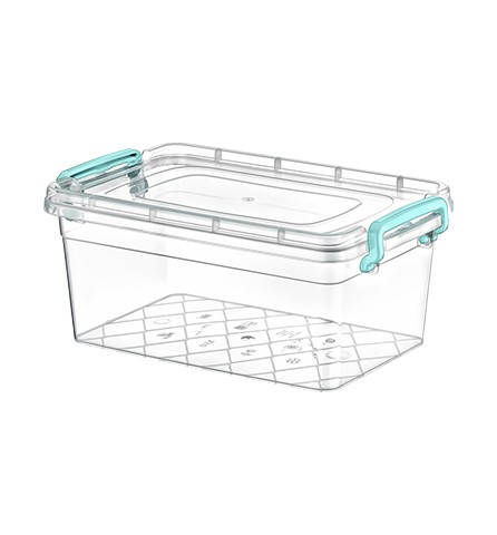 AK 253 MAXI STORAGE CONTAINER 1 NO (2 LT) * 1