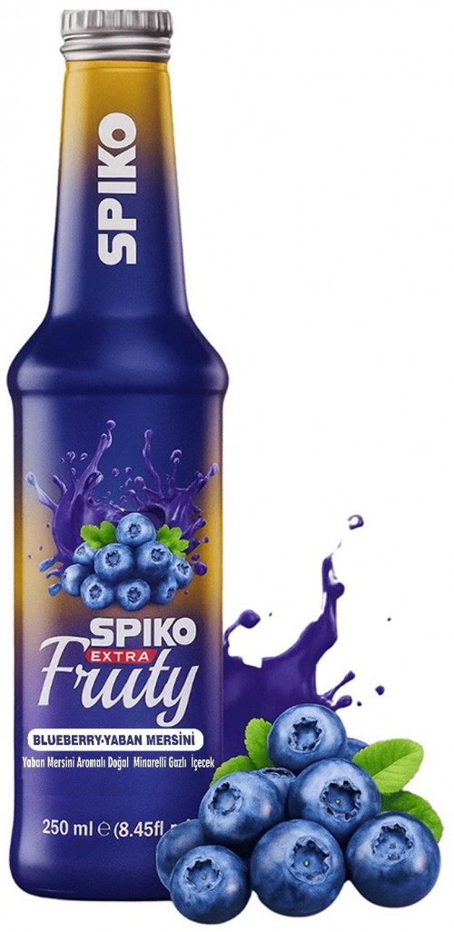 SPİKO (DBYS) FRUİTY 250 ML YABAN MERSİNİ*24
